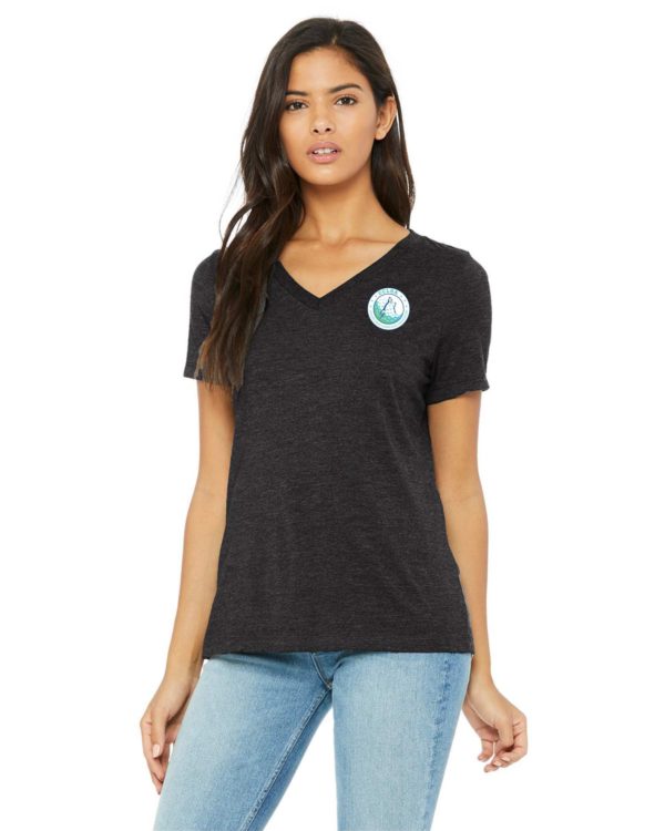Unisex Triblend V Neck T